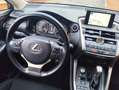 Lexus NX 300 300h Business 2WD Gris - thumbnail 12