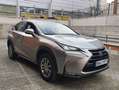 Lexus NX 300 300h Business 2WD Gris - thumbnail 2