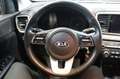 Kia Sportage 1.6 CRDI 115 CV 2WD Business Class Rosso - thumbnail 9