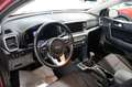 Kia Sportage 1.6 CRDI 115 CV 2WD Business Class Rosso - thumbnail 8