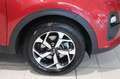 Kia Sportage 1.6 CRDI 115 CV 2WD Business Class Rojo - thumbnail 7