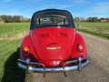 Volkswagen Kever cabrio 1965 als nieuw Rot - thumbnail 16