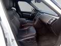 Land Rover Discovery 5 Landmark Edition SDV6 Weiß - thumbnail 12
