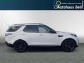 Land Rover Discovery 5 Landmark Edition SDV6 Weiß - thumbnail 5