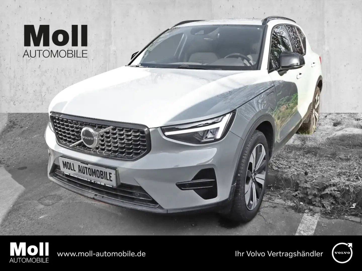 Volvo XC40 Plus Dark Recharge Plug-In Hybrid 2WD T4 Twin Engi Grau - 1