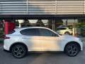 Alfa Romeo Stelvio Super 2,0 Automatik Q4 *Panoramadach Sportsitze* Weiß - thumbnail 2