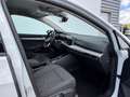 Volkswagen Golf 1.0 eTSI OPF 110ch Life Plus DSG7 Wit - thumbnail 9