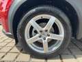 Nissan Juke 1.6 N-Connecta Anhängerkupplung +CARE Rouge - thumbnail 8