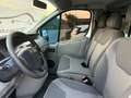 Renault Trafic passenger 9 posti + carico per Disabili Bianco - thumbnail 15