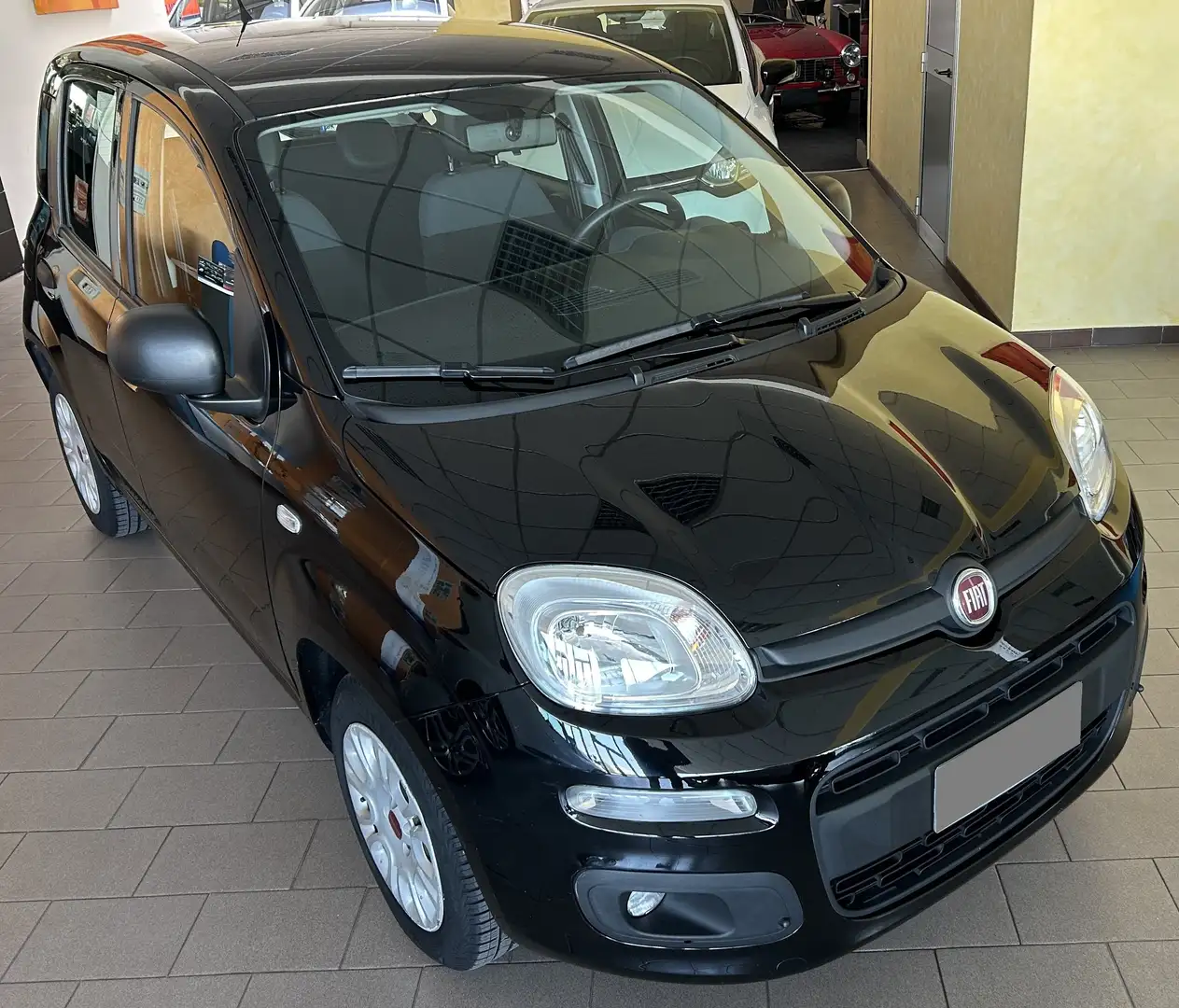 Fiat Panda Fiat Panda 1.2 8v.  ok neopatentati Zwart - 1
