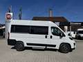 Fiat Ducato KOMBI PANORAMA MODULAR 35 L2H2 180 AT Alb - thumbnail 2