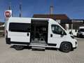 Fiat Ducato KOMBI PANORAMA MODULAR 35 L2H2 180 AT Alb - thumbnail 3