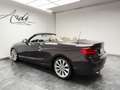 BMW 220 Cabriolet dA*LUXURY PACK*LED*GARANTIE 12 MOIS* Коричневий - thumbnail 14