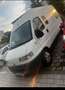 Fiat Ducato 14 JTD 231.246.1 verglast M1A wohnwagen - thumbnail 2