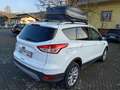 Ford Kuga 2.0 TDCI S&S 4WD TITANIUM UNICO PROPRIETARIO Blanc - thumbnail 3