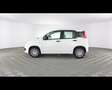 Fiat Panda 1.0 FireFly Hybrid Bianco - thumbnail 12