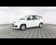 Fiat Panda 1.0 FireFly Hybrid Bianco - thumbnail 1