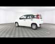 Fiat Panda 1.0 FireFly Hybrid Bianco - thumbnail 11
