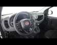 Fiat Panda 1.0 FireFly Hybrid Bianco - thumbnail 13
