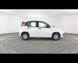 Fiat Panda 1.0 FireFly Hybrid Bianco - thumbnail 6