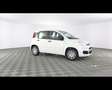 Fiat Panda 1.0 FireFly Hybrid Bianco - thumbnail 5