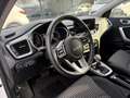 Kia Ceed SW / cee'd SW 1,6 CRDi SCR ISG Silber 48V DCT Weiß - thumbnail 8