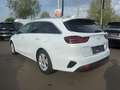 Kia Ceed SW / cee'd SW 1,6 CRDi SCR ISG Silber 48V DCT Weiß - thumbnail 3