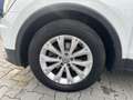 Volkswagen Tiguan Comfortline KAMERA*PDC*SHZ*GRA*KLIMA Blanc - thumbnail 18