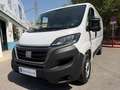 Fiat Ducato 33 L2H1 BlueHDi 103kW (140CV) Blanco - thumbnail 24