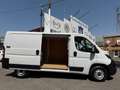 Fiat Ducato 33 L2H1 BlueHDi 103kW (140CV) Blanco - thumbnail 20