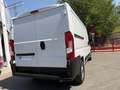 Fiat Ducato 33 L2H1 BlueHDi 103kW (140CV) Blanco - thumbnail 21