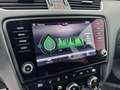 Skoda Octavia Octavia Combi 1,6  TDI 4x4 Style Limited Grau - thumbnail 22