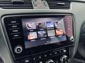 Skoda Octavia Octavia Combi 1,6  TDI 4x4 Style Limited Grau - thumbnail 23