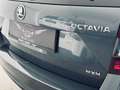 Skoda Octavia Octavia Combi 1,6  TDI 4x4 Style Limited Grau - thumbnail 9