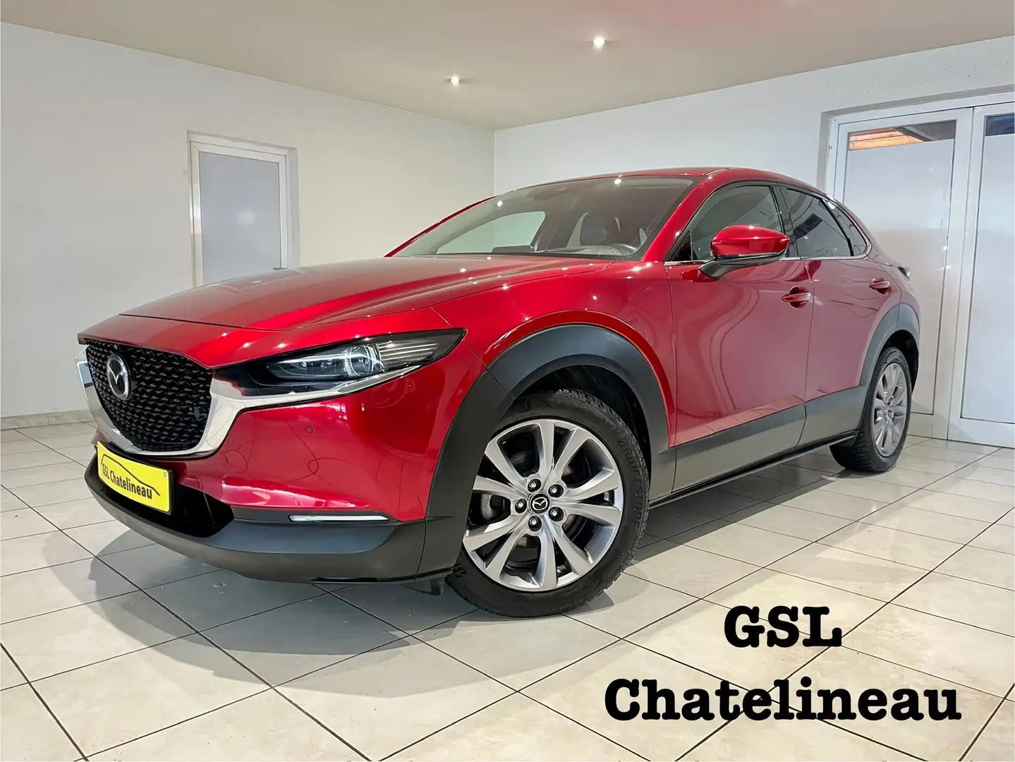 Mazda CX-30 2.0SKYACTIV-G MHEV Skycruise Bose Camera360/Navi Rood - 1