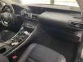 Lexus IS 300 300h Executive Gris - thumbnail 19
