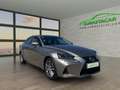 Lexus IS 300 300h Executive Gris - thumbnail 3