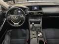 Lexus IS 300 300h Executive Gris - thumbnail 22
