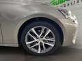 Lexus IS 300 300h Executive Gris - thumbnail 10