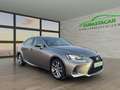 Lexus IS 300 300h Executive Gris - thumbnail 31
