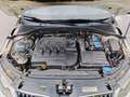 Skoda Octavia Octavia Bianco - thumbnail 14