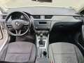 Skoda Octavia Octavia Bianco - thumbnail 12