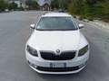 Skoda Octavia Octavia Bianco - thumbnail 4