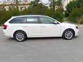 Skoda Octavia Octavia Bianco - thumbnail 3