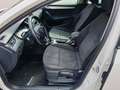 Skoda Octavia Octavia Bianco - thumbnail 10