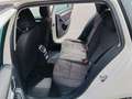 Skoda Octavia Octavia Bianco - thumbnail 11