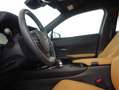 Lexus UX 300h 2.0 Plus Noir - thumbnail 14