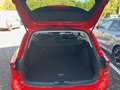 Ford Focus TITANIUM TURNIER 1.0l EB 125PS Winterpaket Rojo - thumbnail 6