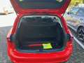 Ford Focus TITANIUM TURNIER 1.0l EB 125PS Winterpaket Rojo - thumbnail 5
