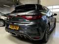 Renault Megane 1.8 TCe 280 RS Alcantara, Head-up display Grau - thumbnail 22